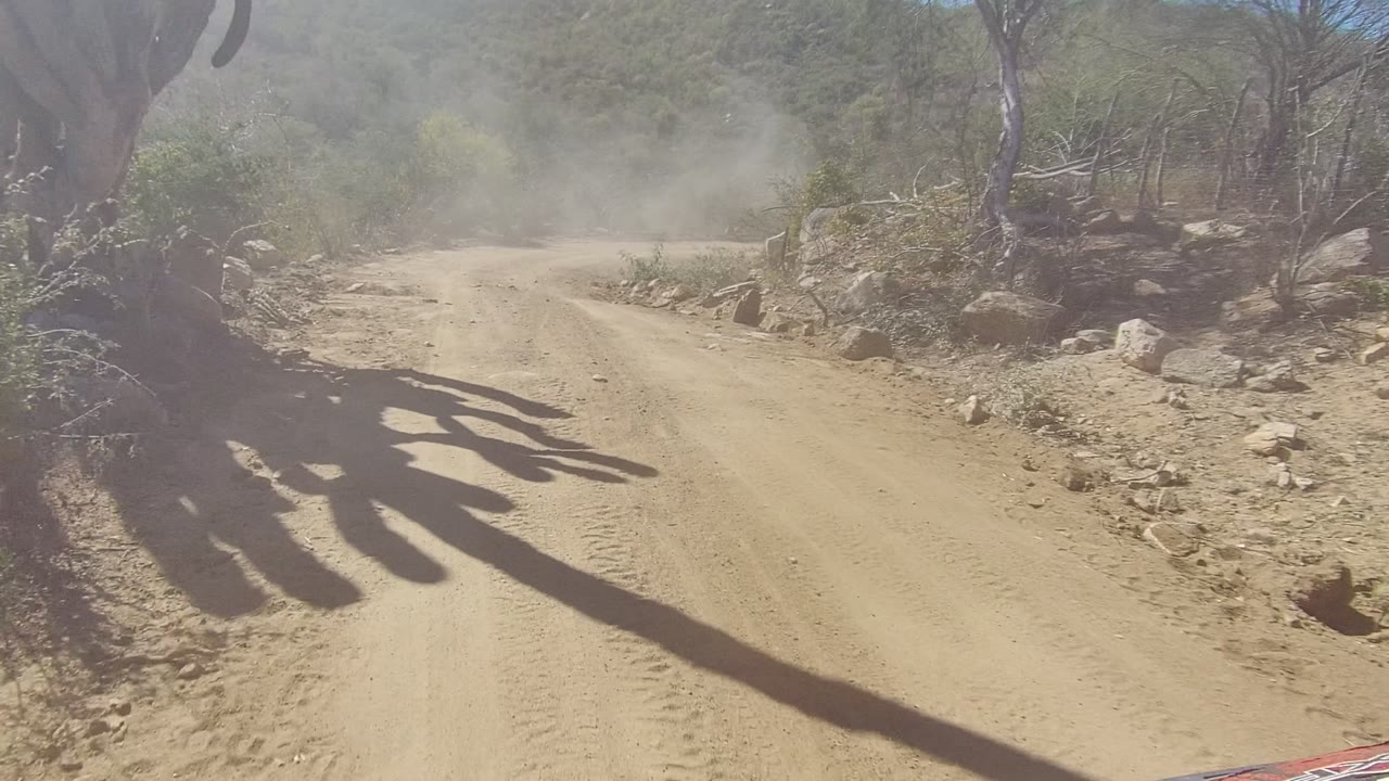 A dusty dirt road in Los Cabos, Baja California Sur curves through dry scrub, rocks, and sparse trees under hard sunlight, with no visible people.