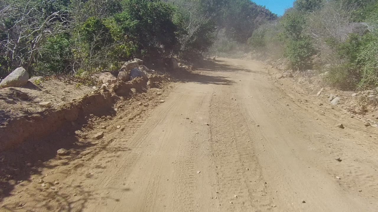 Sandy road curving past rocks and dense green scrub
