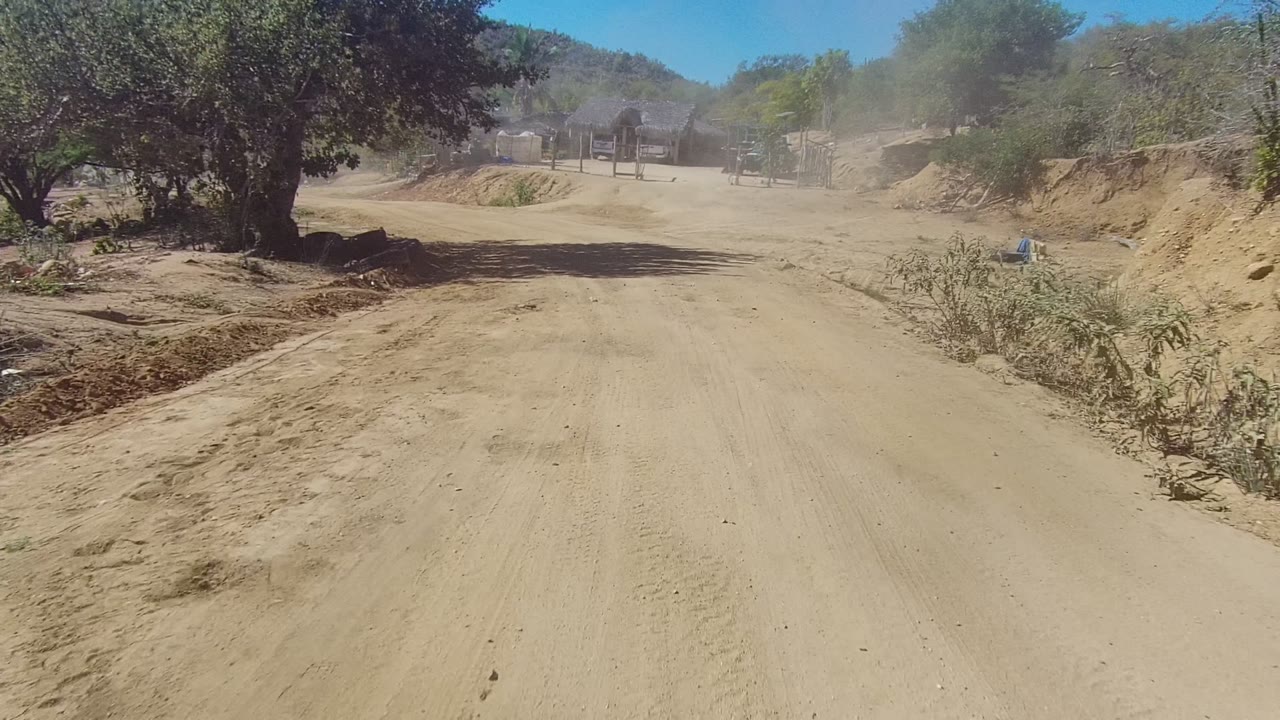 A dusty dirt road in Los Cabos, Baja California Sur passes between dry trees and low scrub under bright daylight, with no visible people.