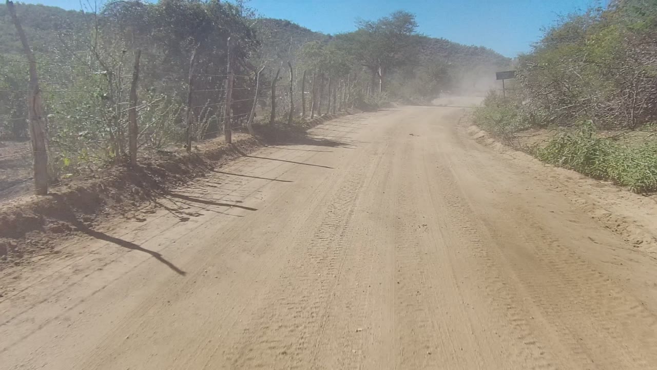 Sandy road curving past fence posts and roadside brush