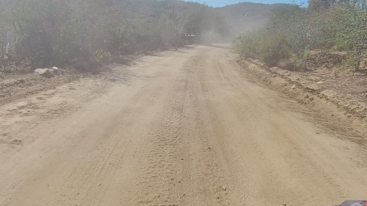 A sandy dirt road in Los Cabos, Baja California Sur runs ahead between dry shrubs and sparse roadside trees, with low hills in the distance and no visible people.