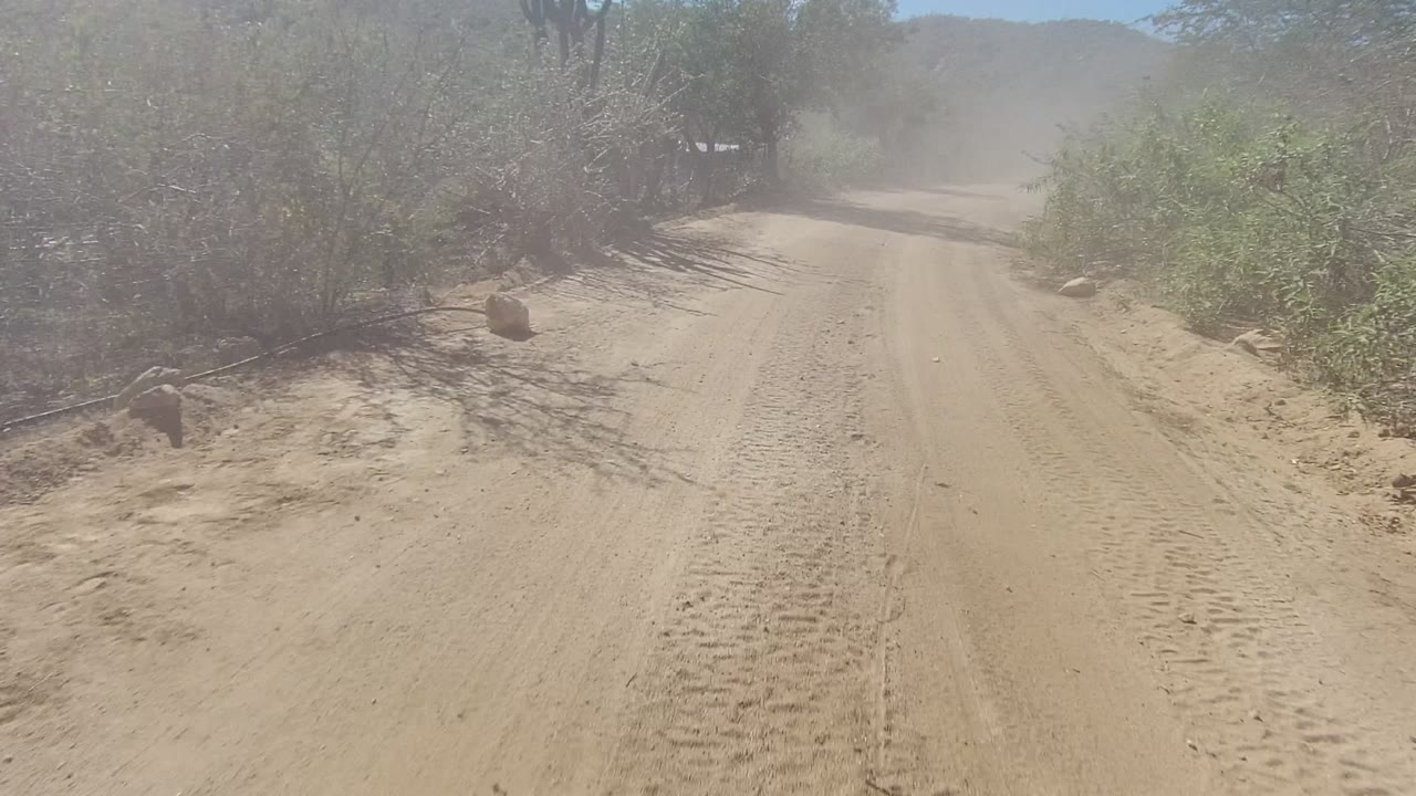 Sandy road curving through brush with dust ahead