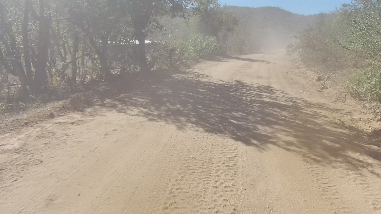 A dirt road in Los Cabos, Baja California Sur passes beneath tree shadows, with brush close to both sides of the track and no visible people.