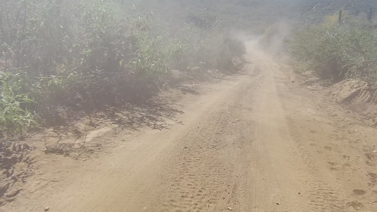 Forward view down a dusty rural dirt road in Los Cabos, Baja California Sur, with bushes on both sides, dust hanging ahead, and no visible people.
