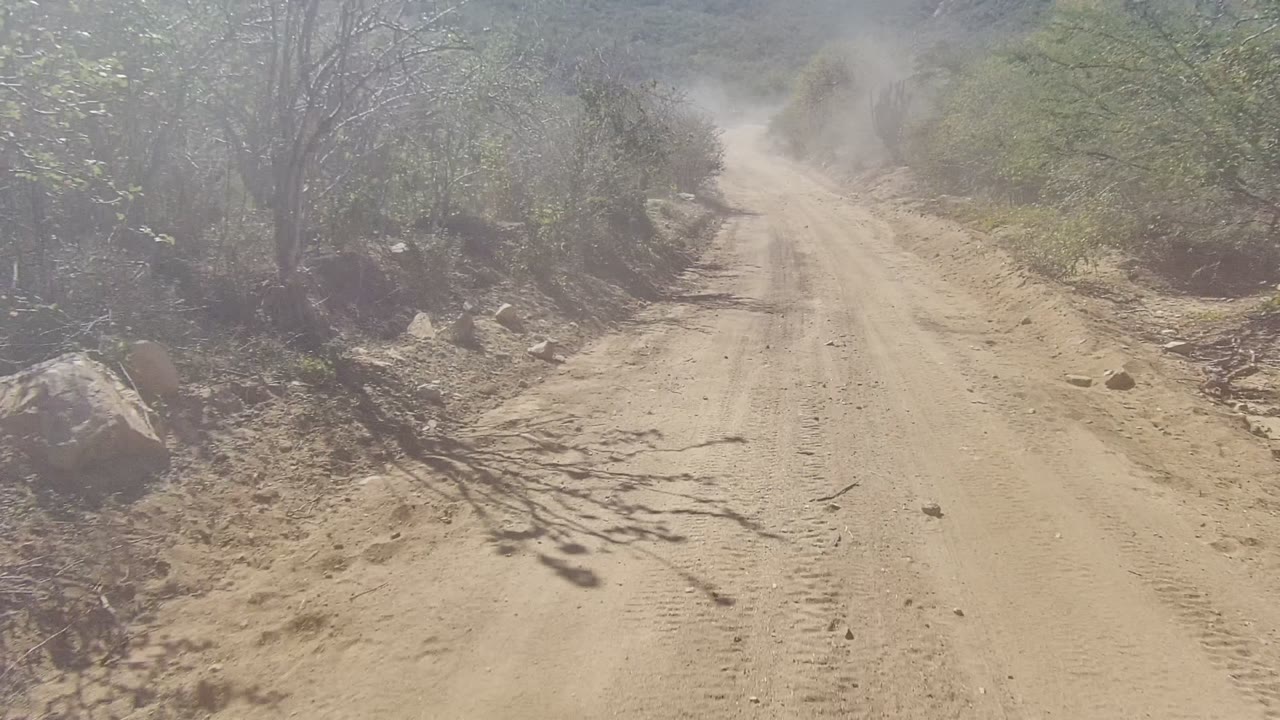 Vehicle view along a sandy road with roadside brush.