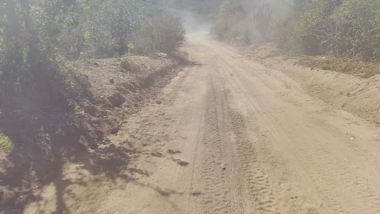 The road opens wider in this Los Cabos frame, with rutted sand, low brush, tree shadows across the track, drifting dust, and no visible people.