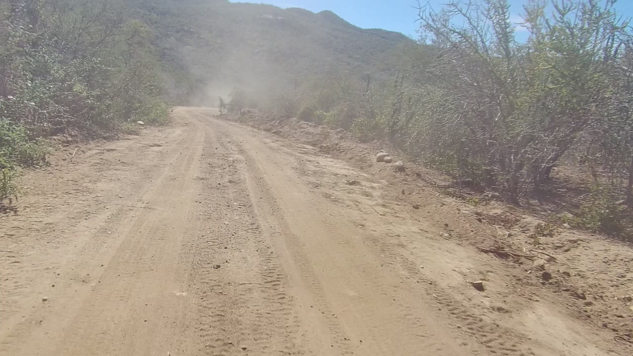 A dusty dirt road in Los Cabos, Baja California Sur runs between scrubby bushes toward low mountains, with tan dust ahead and no visible people.