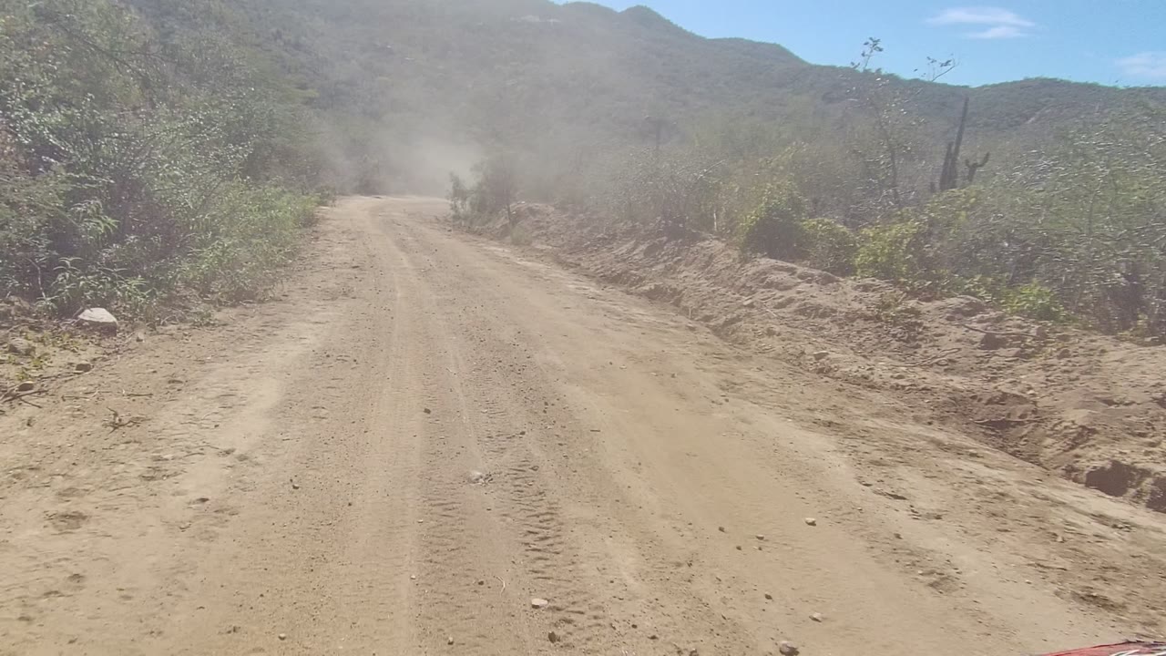 Sandy road with dust hanging near roadside vegetation