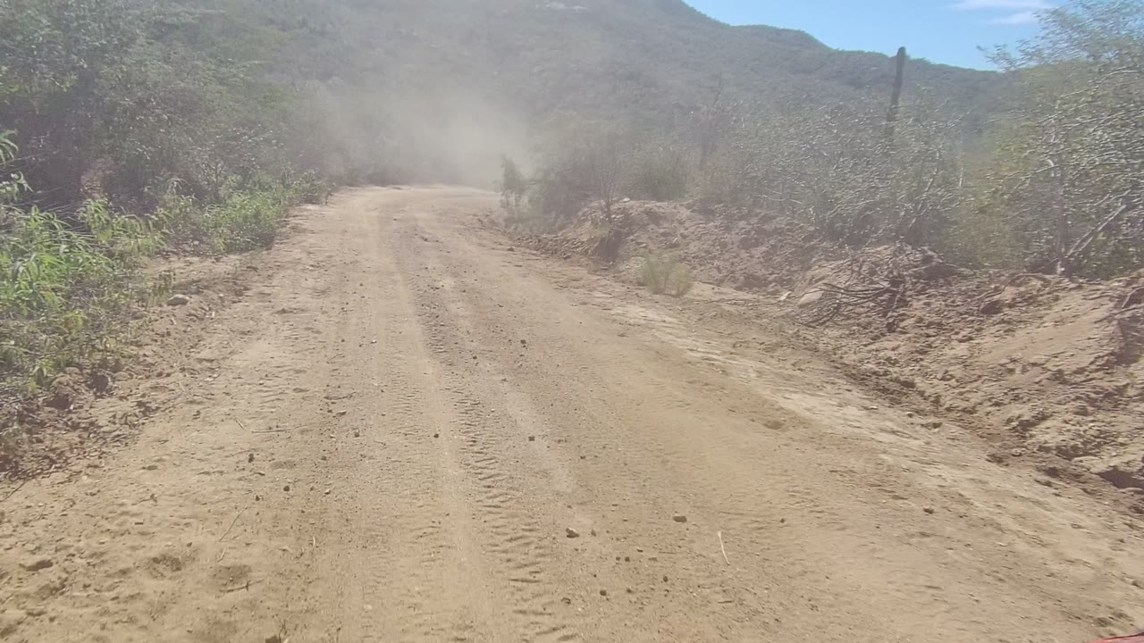 A straight section of dirt road in Los Cabos stretches into a pale dust plume, bordered by dry scrub and low branches, with no visible people.