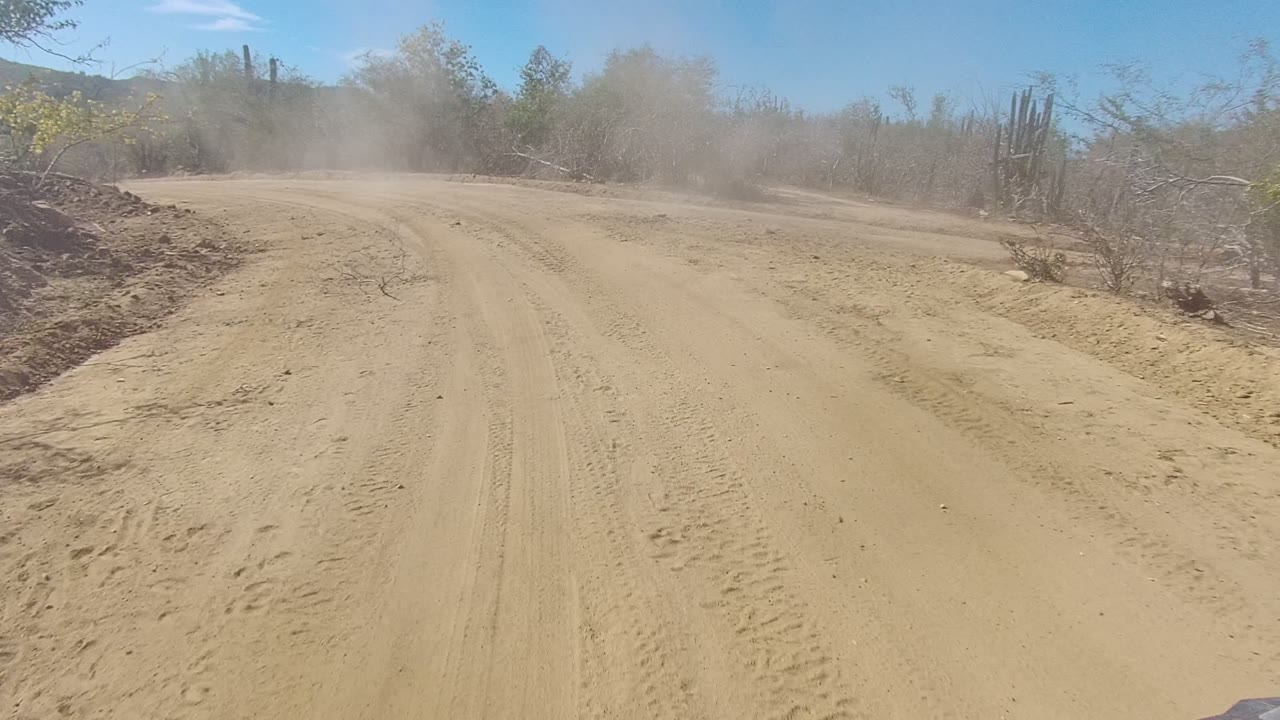 A sandy dirt road in Los Cabos, Baja California Sur curves through dry brush with tire tracks in the foreground, dust ahead, cacti near the horizon, and no visible people.