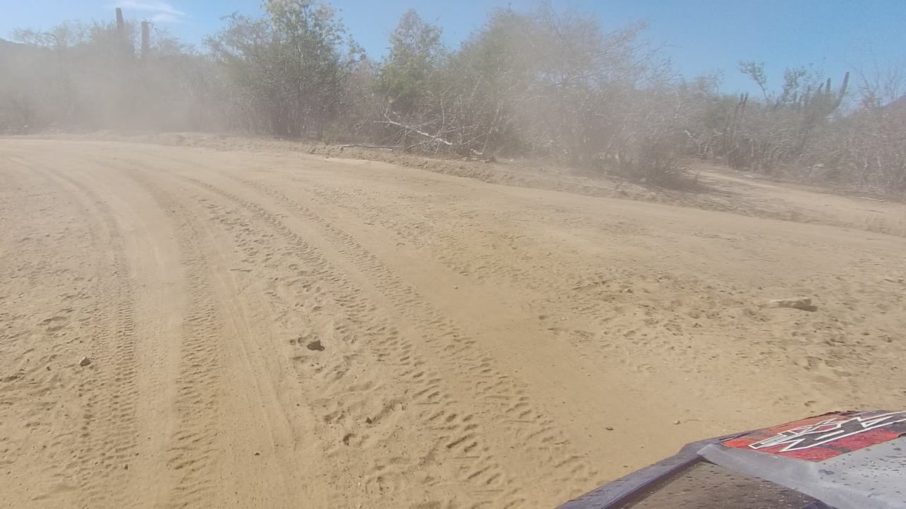 Vehicle-edge view of a dusty desert road lined with shrubs and cacti.