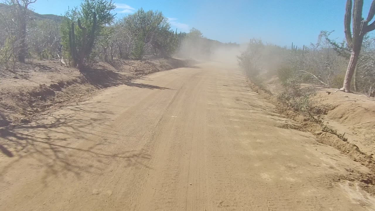 A sandy dirt road in Los Cabos, Baja California Sur runs ahead between dry shrubs and cacti, with a dust cloud in the distance and no visible people.