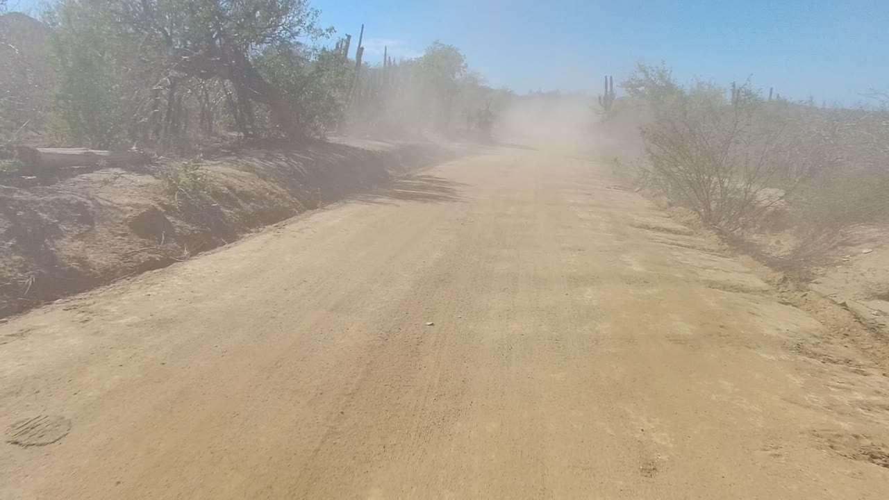 Desert road curving past tall cactus and brush in dust.