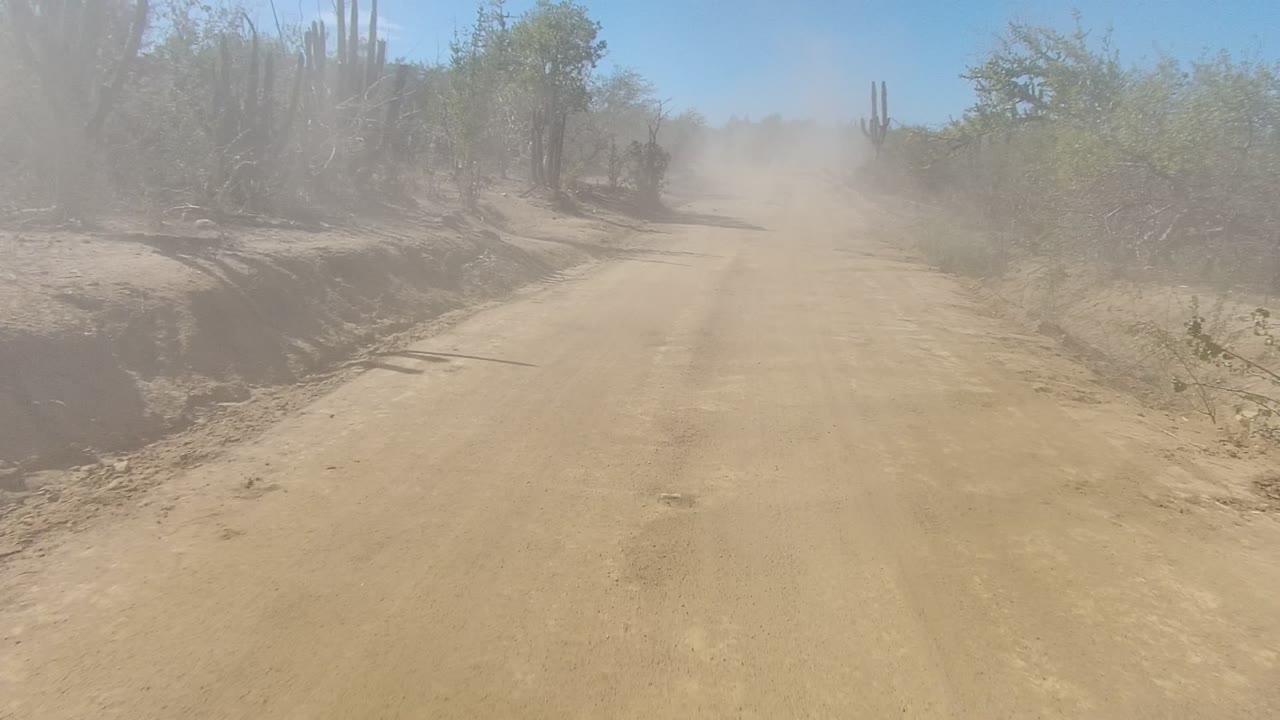 A broad sandy road in Los Cabos stretches toward a dusty haze, with cactus silhouettes and sparse desert plants along both sides and no visible people.