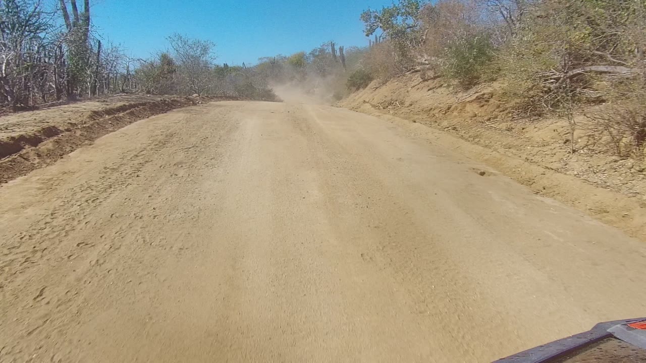 Dusty road curving past dry desert vegetation