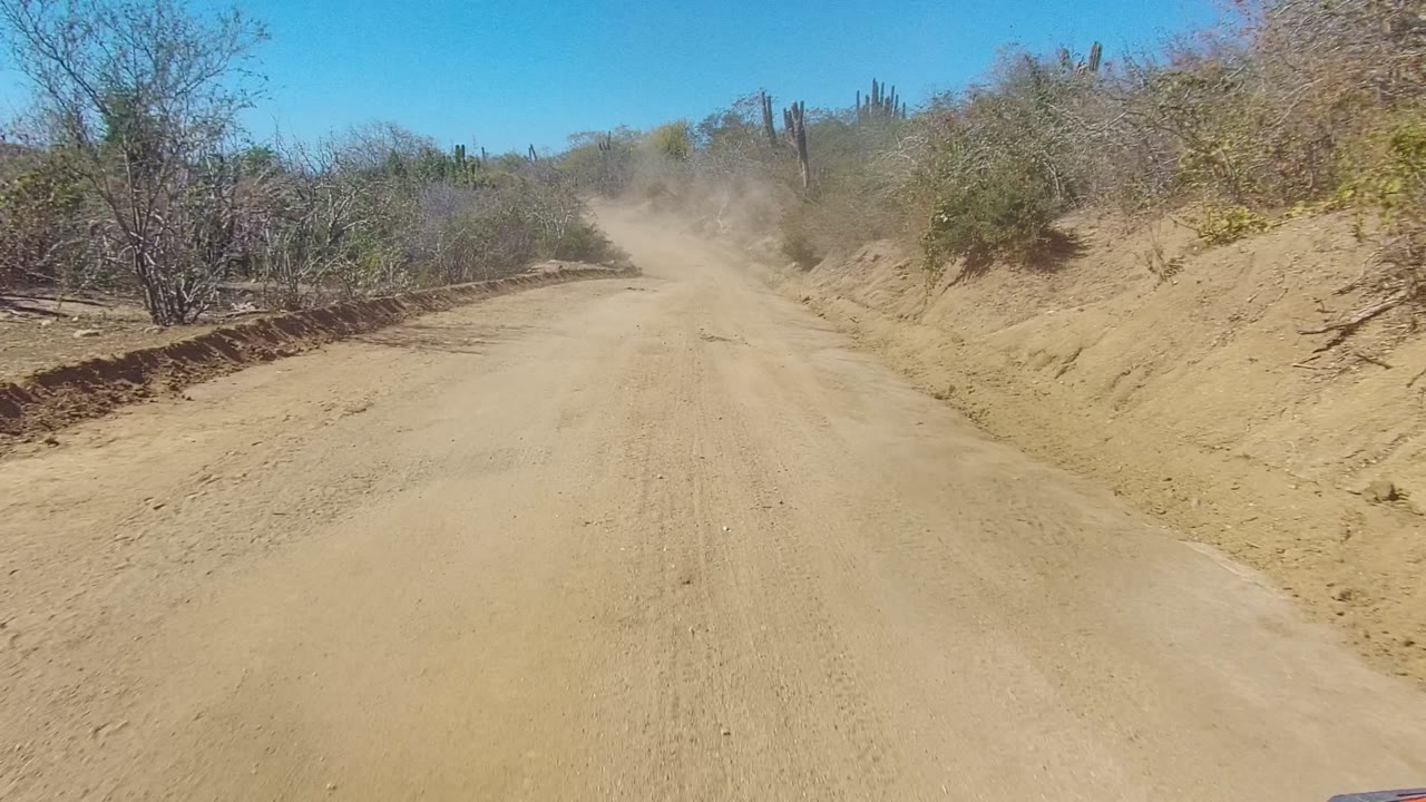 The sandy Los Cabos road continues between raised dirt banks, sparse brush, and tall cacti in the background, with airborne dust and no visible people.