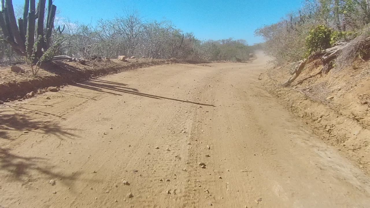 Sandy road passing cactus shadows and scrub in arid terrain.