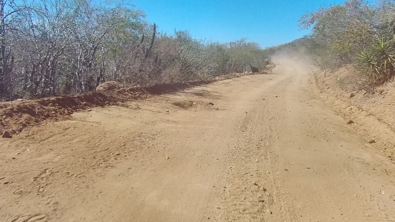 A wider stretch of Los Cabos dirt road runs between dry scrub and sandy banks, with a light dust cloud ahead and no visible people.