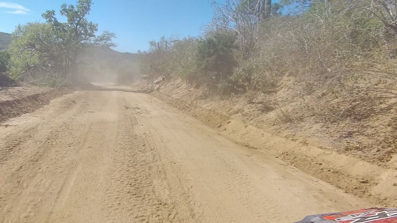 A sandy Los Cabos road continues ahead with dust suspended in the distance, dry trees and shrubs along the banks, and no visible people.