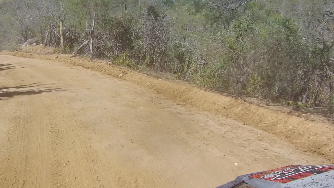 A sandy unpaved road in Los Cabos, Baja California Sur passes dry brush and small trees, with part of the vehicle hood visible and no visible people.