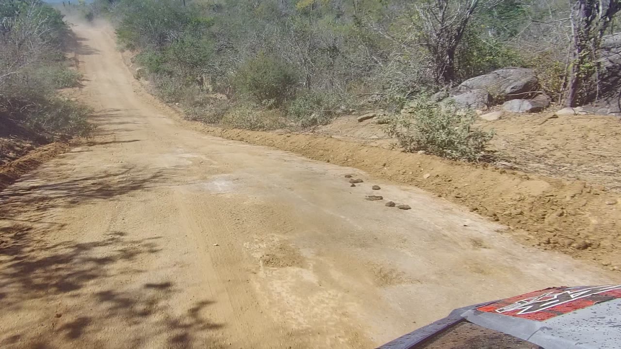 A straighter section of sandy road in Los Cabos runs between scrub, rocks, and hard shadows, with the vehicle hood at the lower right and no visible people.