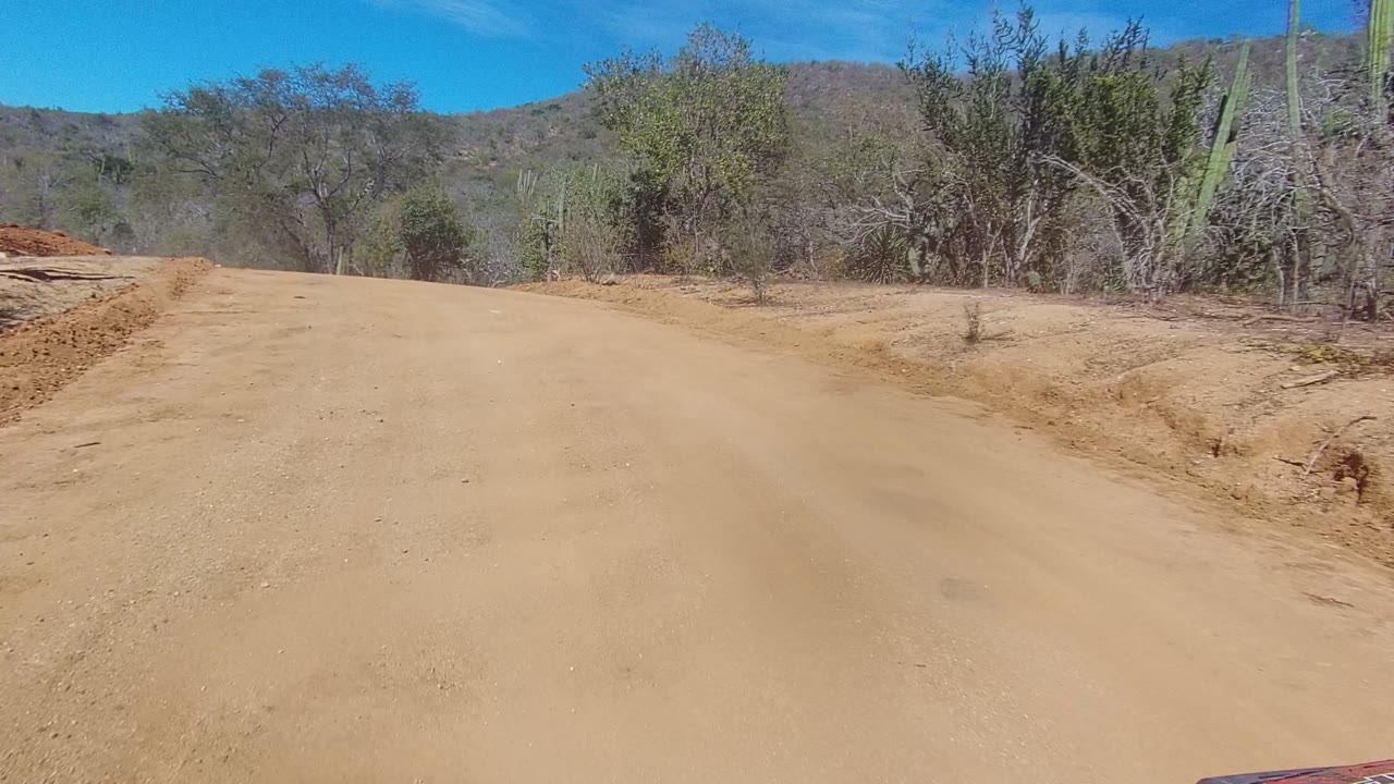 A broad sandy road section in Los Cabos rises gently between scrub, cactus, small trees, and low hills beneath a clear blue sky, with no visible people.