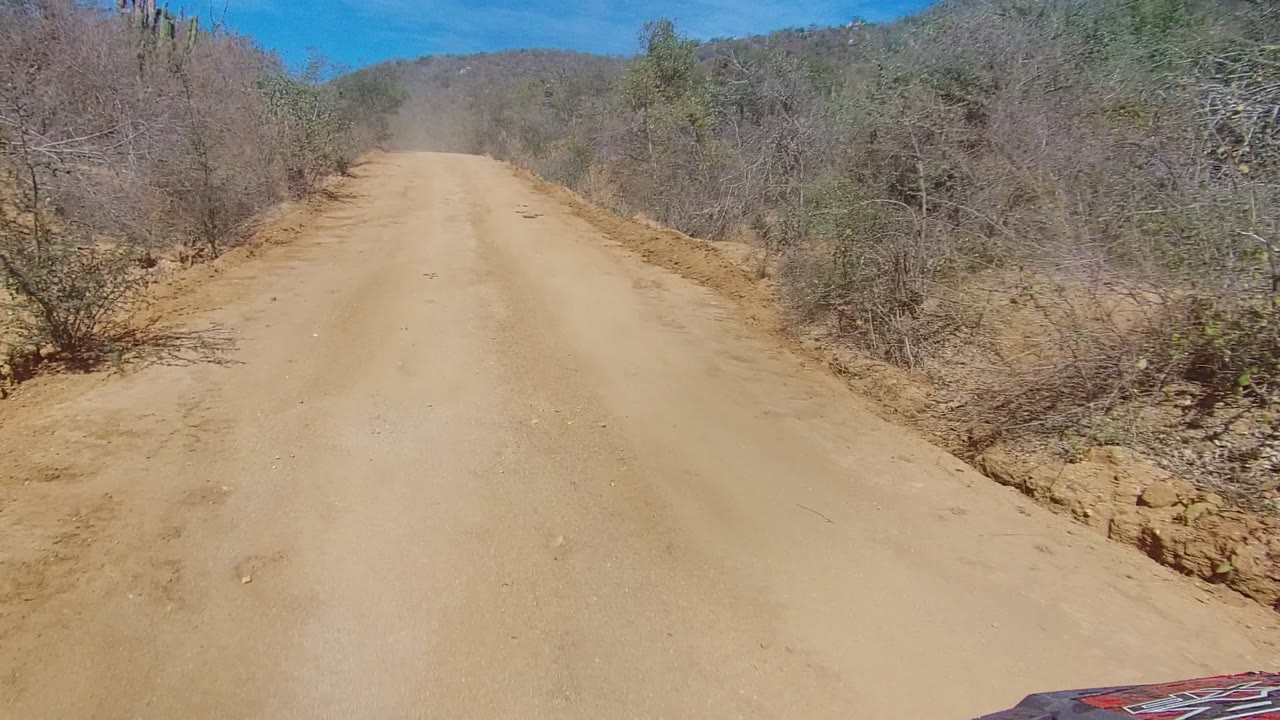 Dusty road rising gently through sparse desert vegetation.
