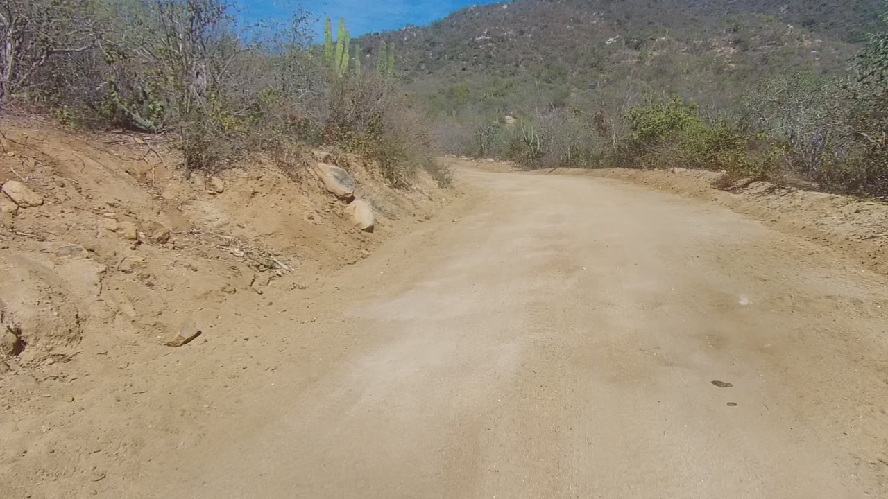 Forward view down a sandy dirt road in Los Cabos, Baja California Sur, with dry brush, cacti, low hills, blue sky, and no visible people.