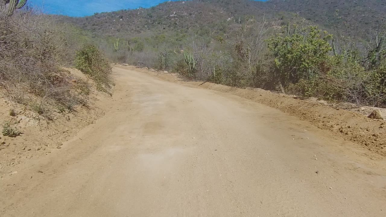 Dusty road curving through cactus and scrub toward hills.