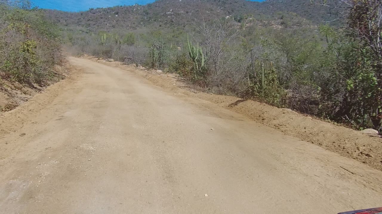 A wider section of sandy road fills the foreground in Los Cabos, with scrub, tall cacti, low rocky hills, bright daylight, and no visible people.
