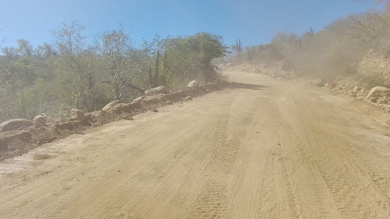 Start of a Los Cabos dirt road view with sandy tire tracks, rocks along the shoulder, scrub vegetation, cacti in the distance, clear blue sky, and no visible people.
