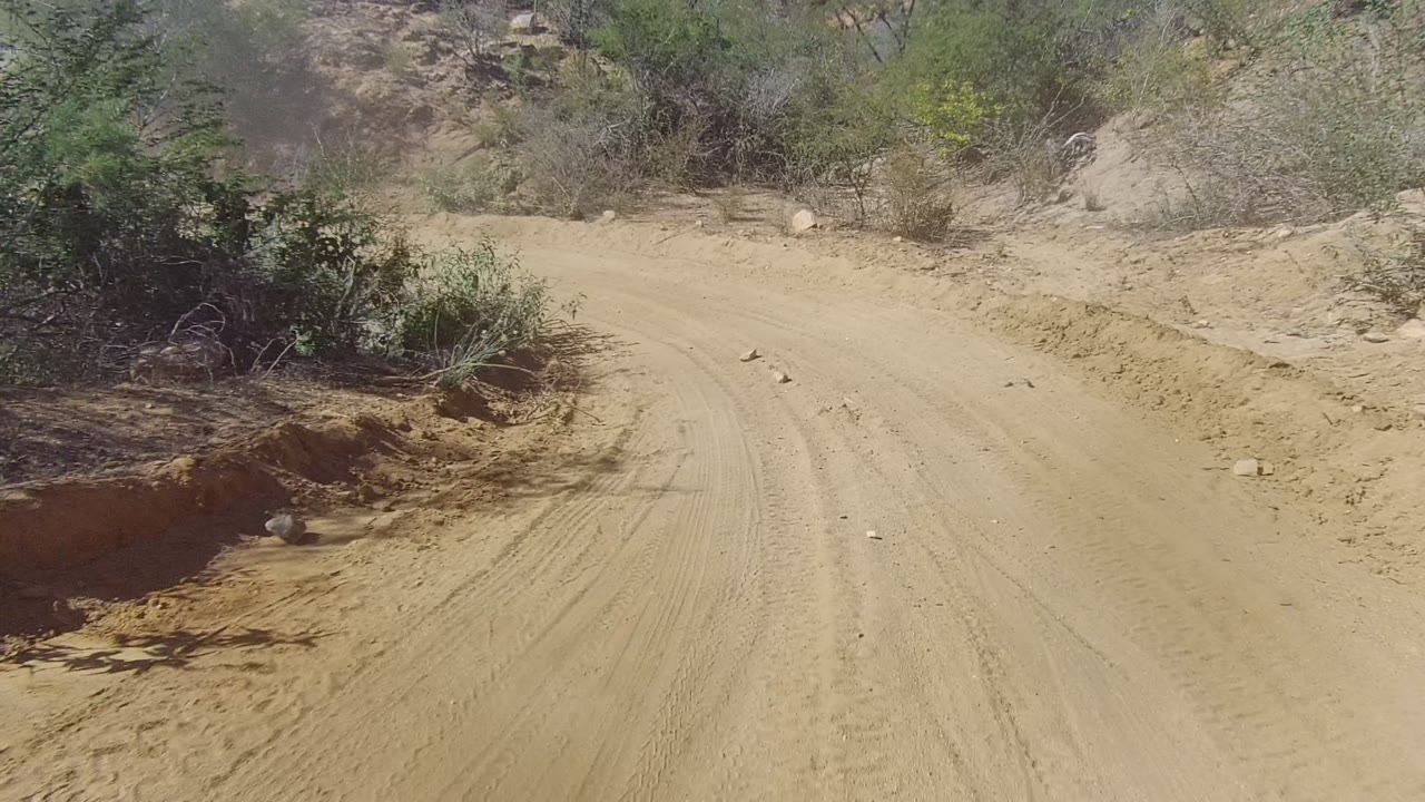 Forward view of a sandy unpaved road in Los Cabos, Baja California Sur, with tire marks, scrubby vegetation, scattered rocks, and no visible people.