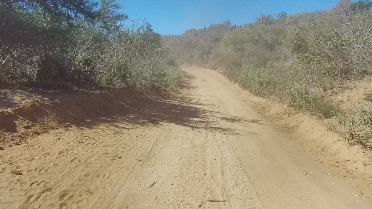 Start of a vehicle-height view along a sandy dirt road in Los Cabos, Baja California Sur, with dry brush on both sides and no visible people.