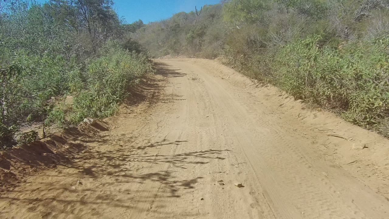 Straight sandy road with brush and shadows across the track.