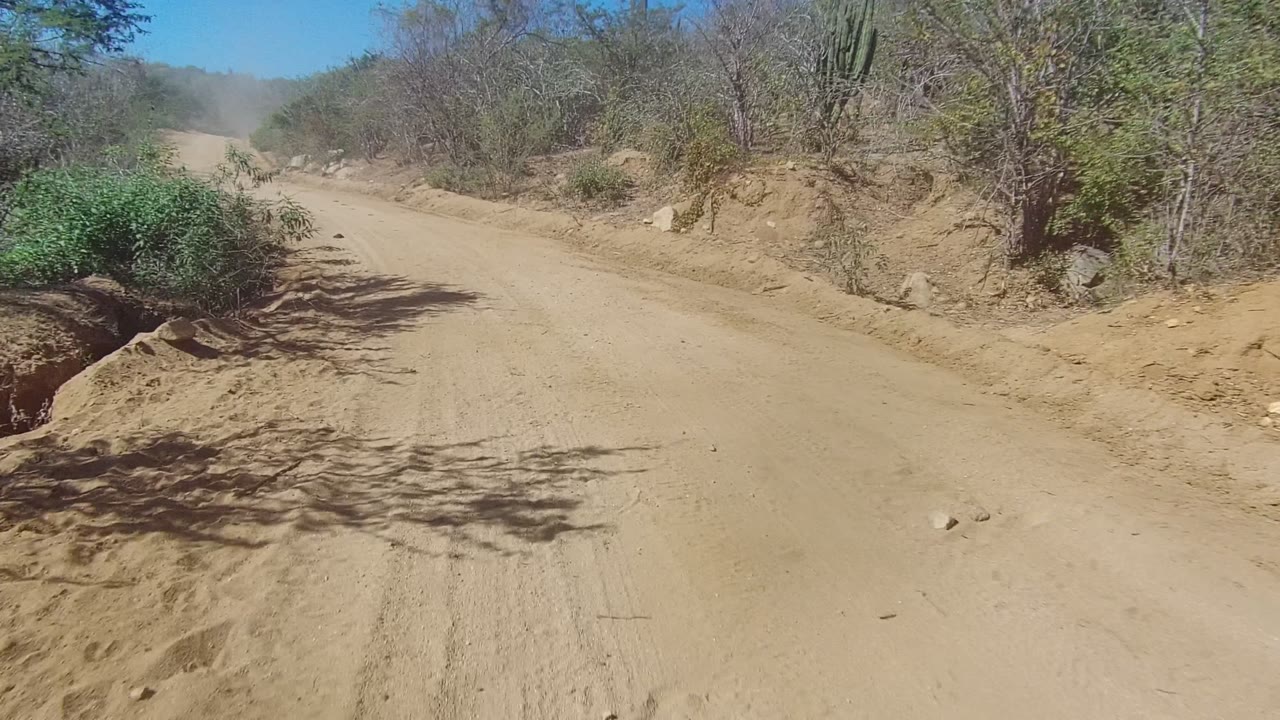 Start of a Los Cabos dirt road driving view, with pale sand, roadside brush, a sloped shoulder, and no visible people.