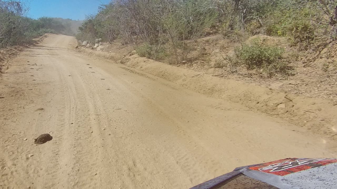 Dusty dirt road ahead with dry brush, rocks, and a small dark object on the road.