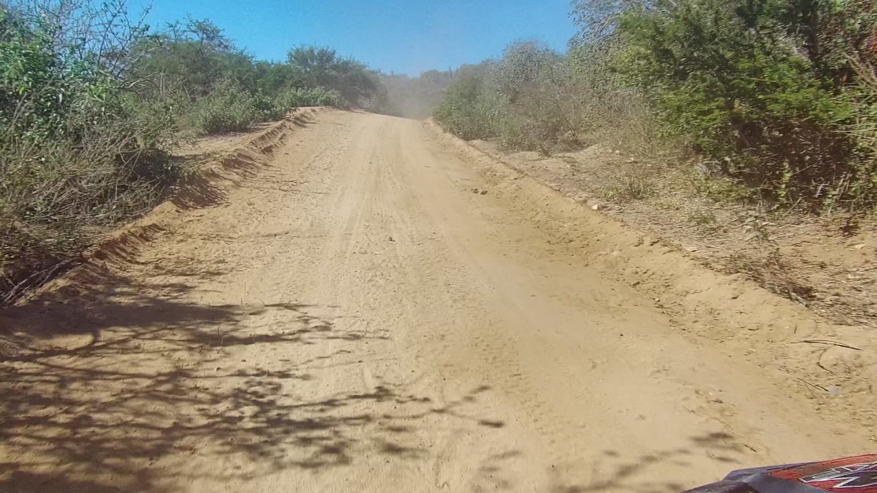 Straight sandy road bordered by dry brush and tree shadows.