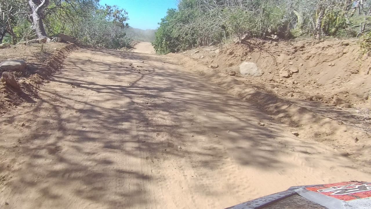 Start of a Los Cabos sandy dirt road bordered by dry trees and scrub, with branch shadows crossing the track and no visible people.