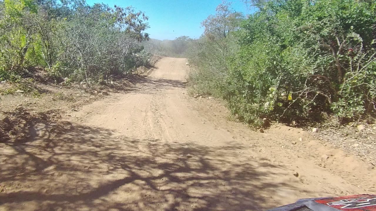 Straight sandy road passing between green shrubs and dry brush.