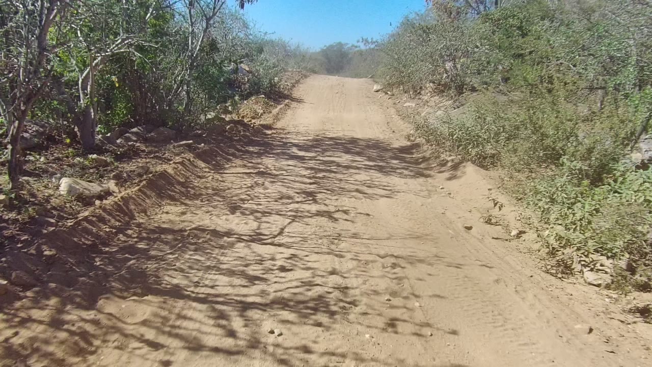 The Los Cabos off-road route bends past dense dry roadside vegetation, scattered rocks, and shadow patterns, with no visible people.