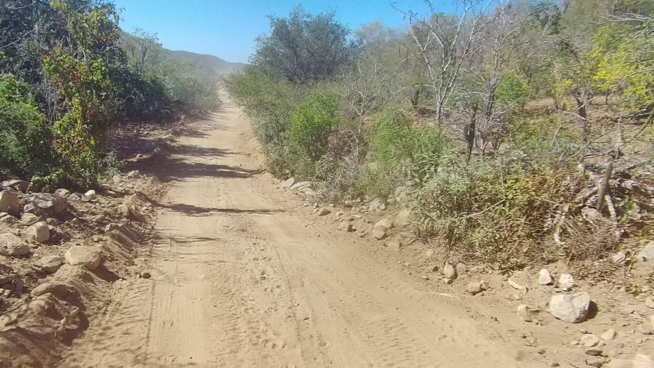 Dusty road receding between scrubby bushes and rocky roadside earth.