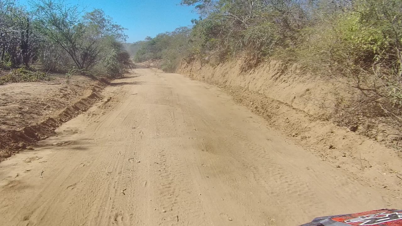 Vehicle view along sandy road with scrub and roadside bank