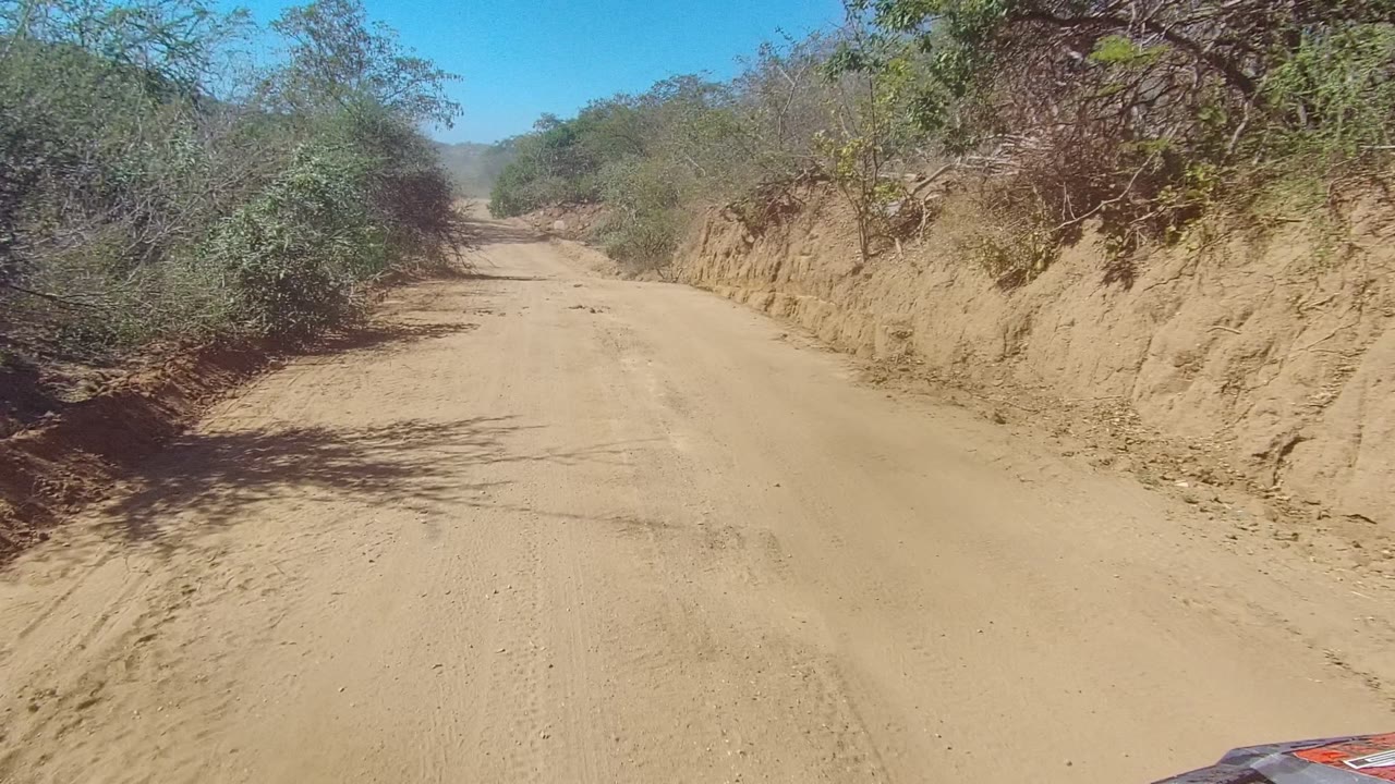 The dirt road bends gently through dry Los Cabos bushland, with tree shadows crossing the sand and no visible people in the frame.