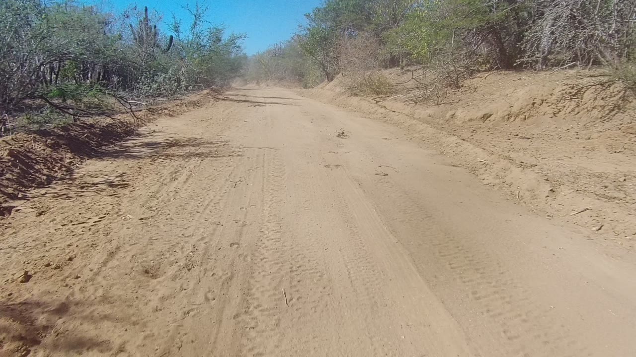Opening view of a sandy dirt road in Los Cabos, Baja California Sur, with scrubby roadside vegetation, tire marks, and no visible people.