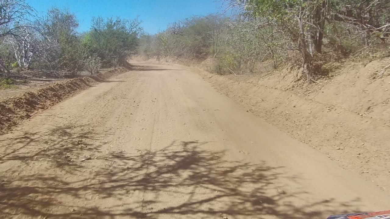 A sandy road in Los Cabos passes dry brush and roadside trees, with branch shadows across the surface, a small vehicle edge at the bottom, and no visible people.