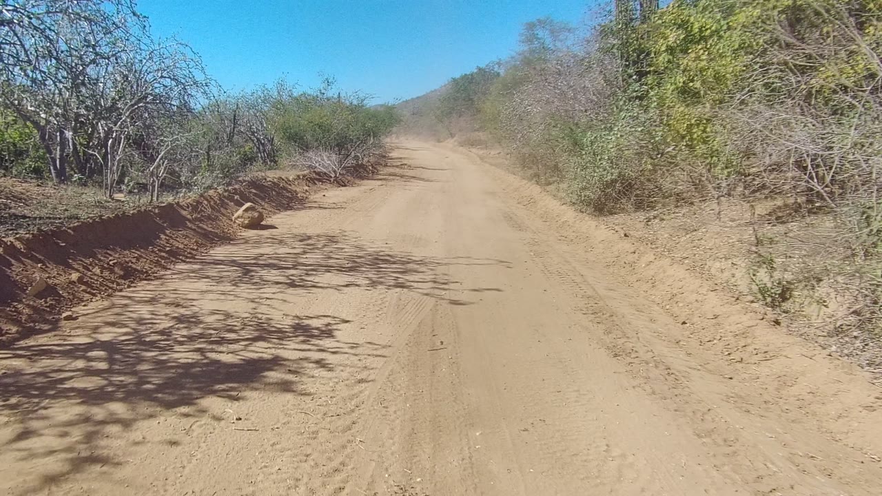 Mid-clip frame looking along a pale sandy road in Los Cabos, with brushy banks, dry trees on both sides, dust in the distance, and no visible people.