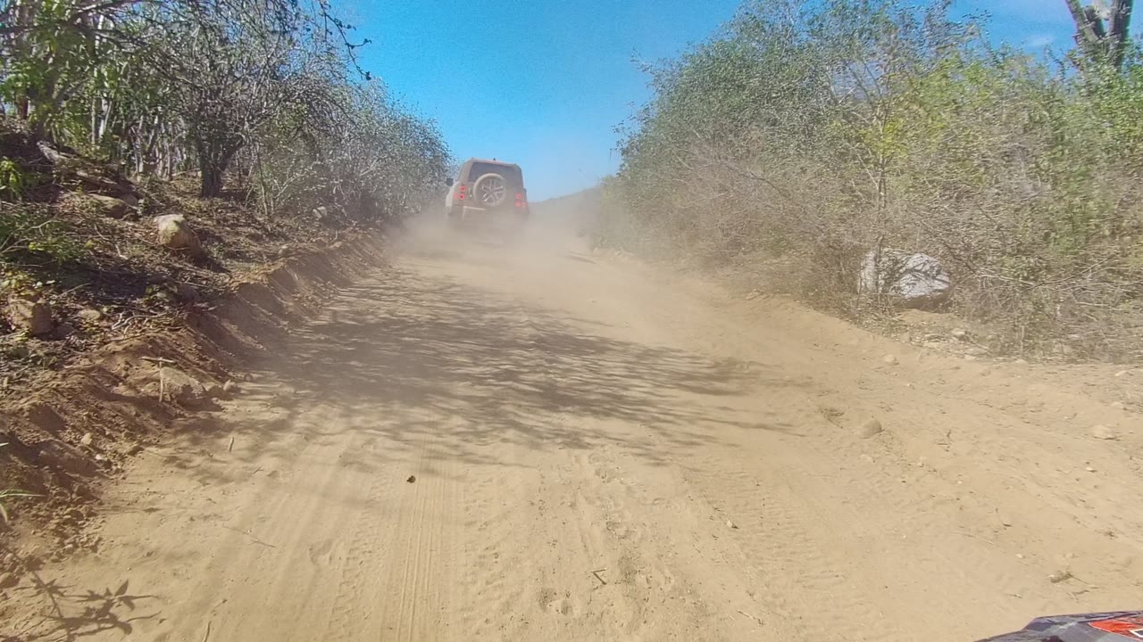 Dust cloud over a winding dirt road bordered by arid shrubs