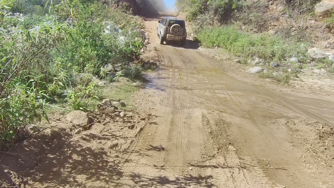 The vehicle moves away near the upper part of the Los Cabos dirt track, with tall green plants close to the road and no visible people.