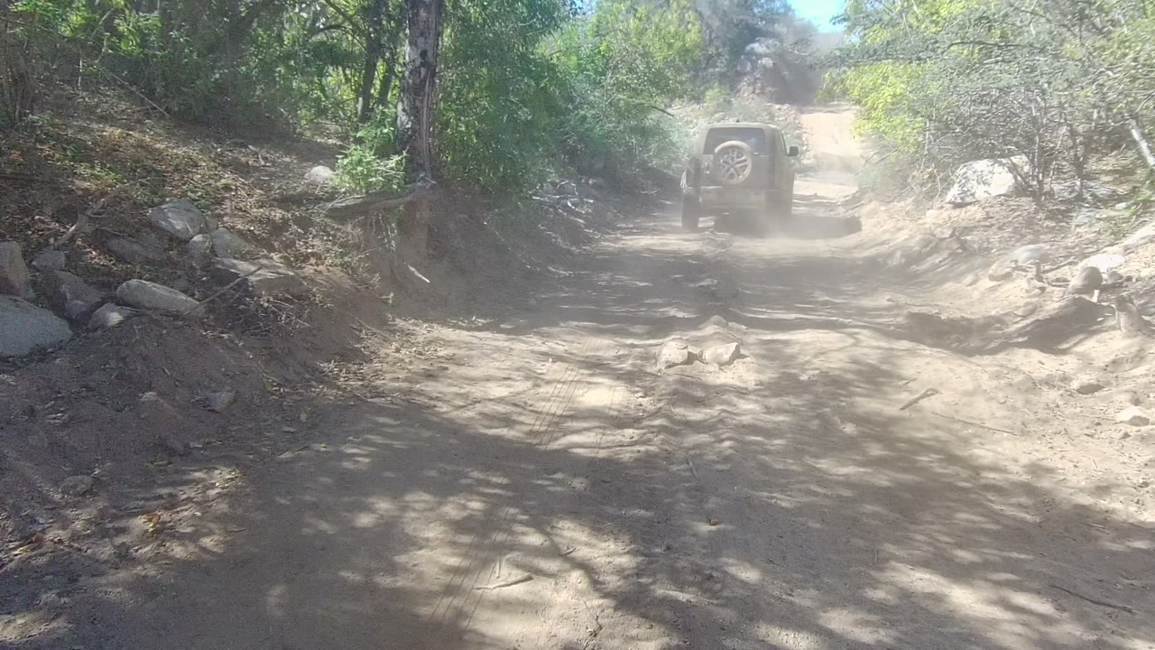 An SUV recedes on a narrow dirt road in Los Cabos, Baja California Sur, with dust hanging behind it, trees and shrubs on both sides, and no visible people.