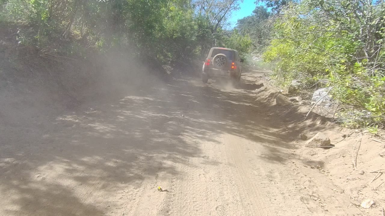 Red SUV driving away on a dusty forest trail.